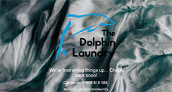 Desktop Screenshot of dolphinlaundry.co.uk